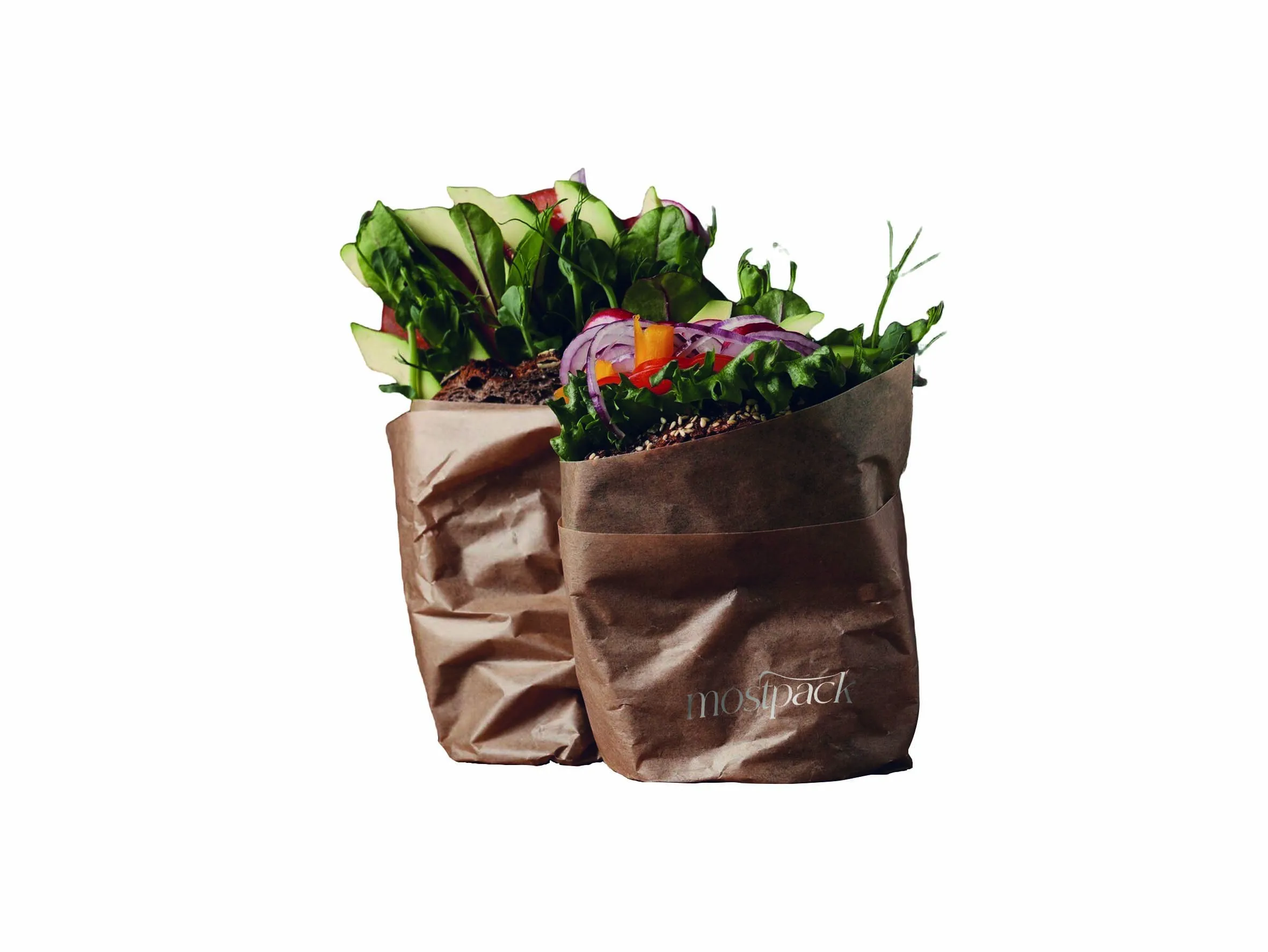 Kraft Paper Bag